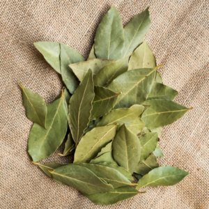 Dry bay leaf