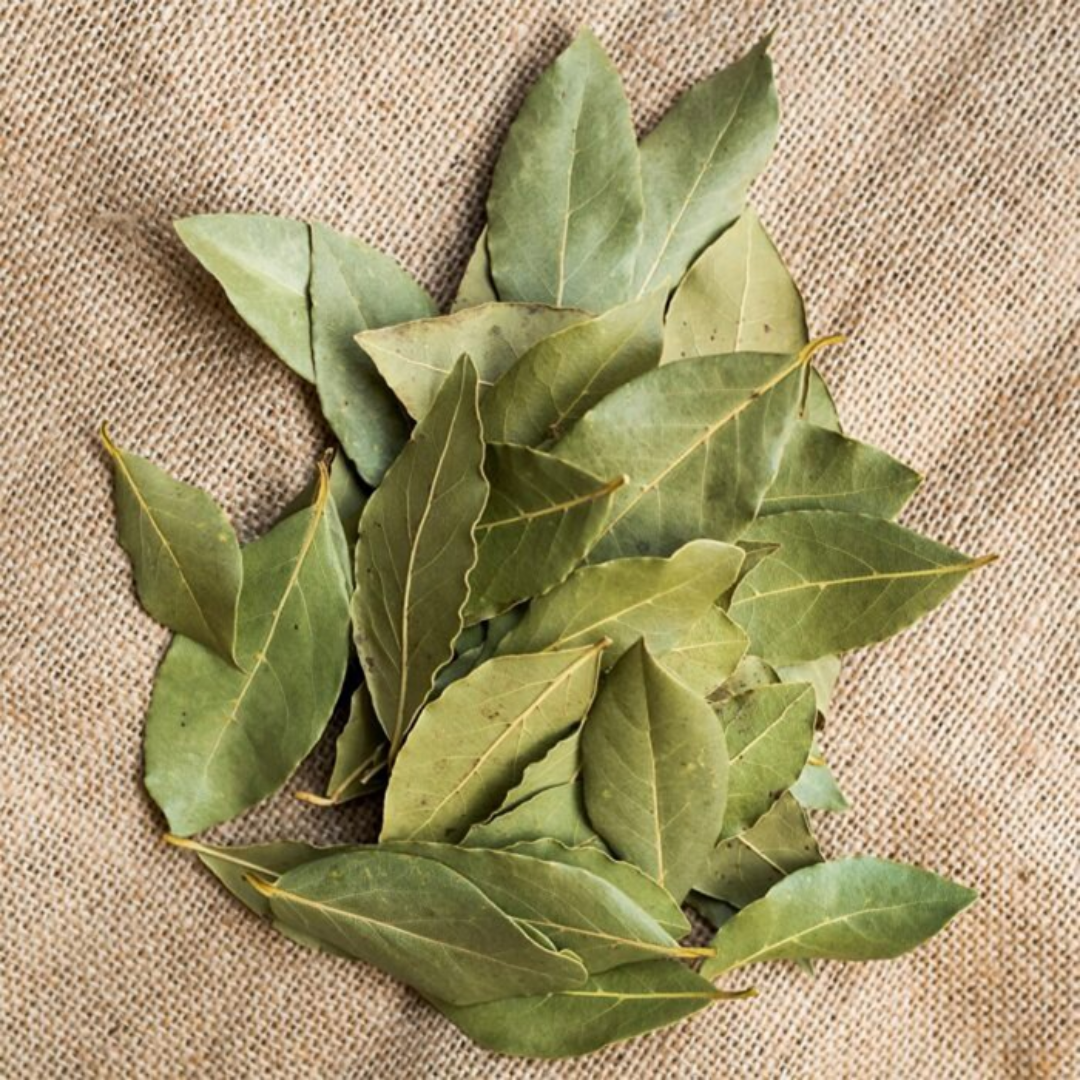Dry bay leaf